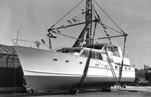 VIRGINIA BELLE III