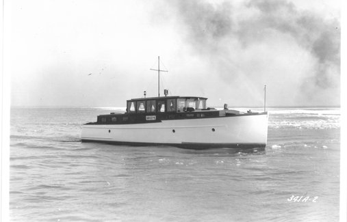 STANDARDIZED CRUISER