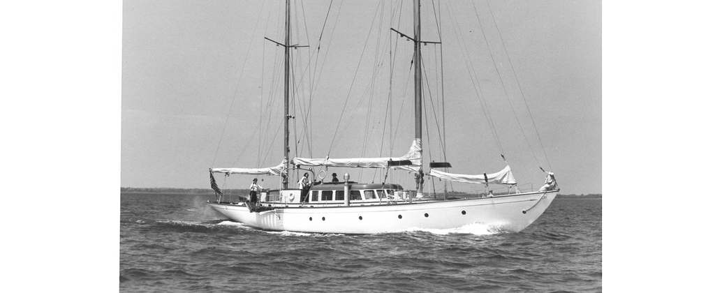 BOSUN BIRD Header